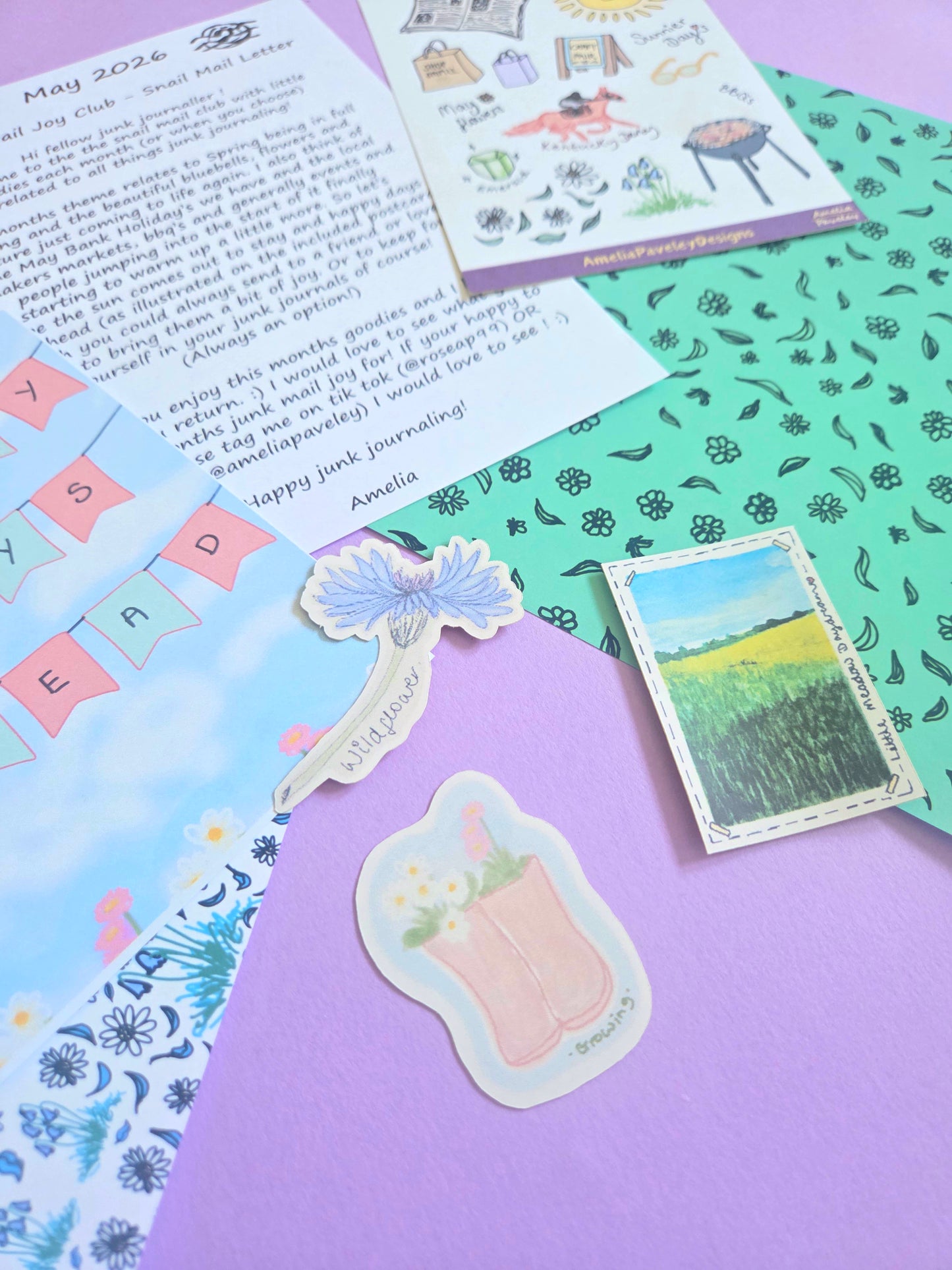 Amelia's Junk Mail Joy Club - Snail Mail ✨️ - UK - May's