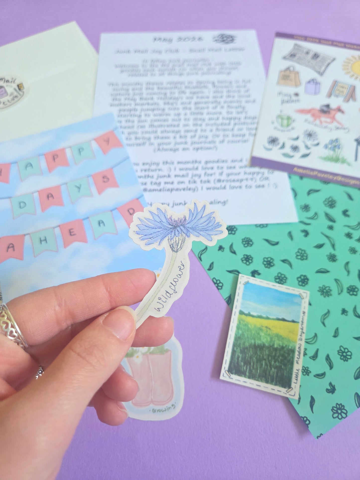 Amelia's Junk Mail Joy Club - Snail Mail ✨️ - UK - May's