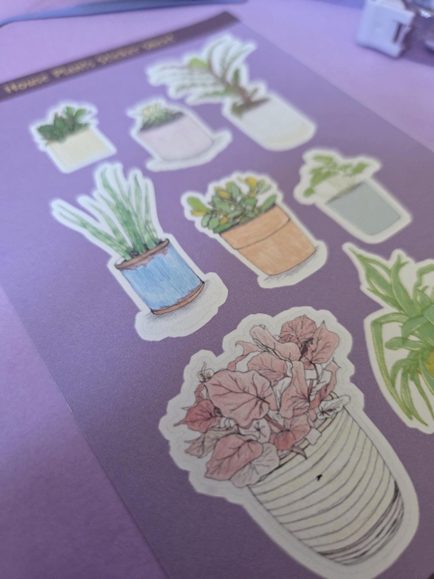 Simplistic House Plants Sticker Sheet