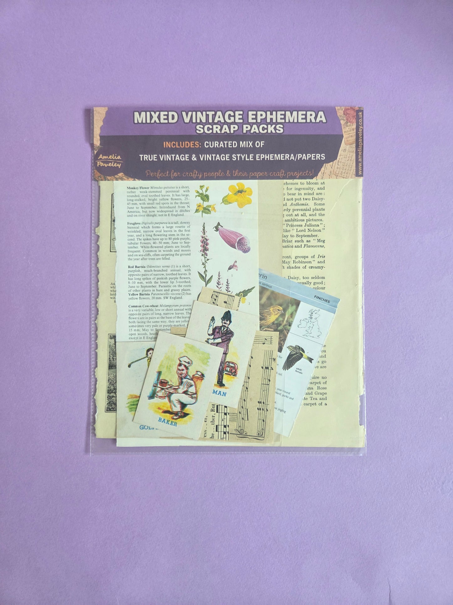 Curated Mixed Vintage Ephemera Scrap Pack 03